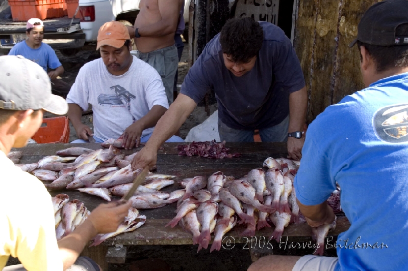 Local Fishermen No-1831.jpg